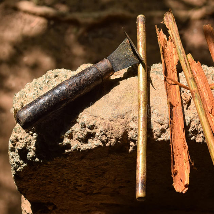 The Process of Peeling the Bark